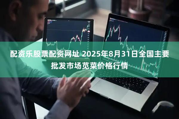 配资乐股票配资网址 2025年8月31日全国主要批发市场苋菜价格行情
