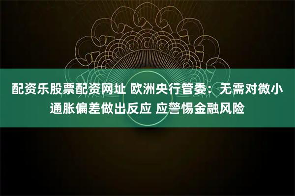 配资乐股票配资网址 欧洲央行管委：无需对微小通胀偏差做出反应 应警惕金融风险