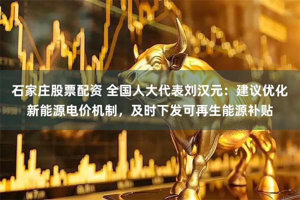 石家庄股票配资 全国人大代表刘汉元：建议优化新能源电价机制，及时下发可再生能源补贴