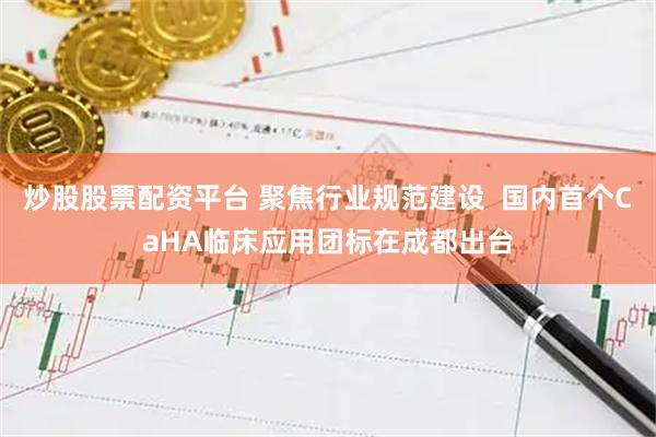 炒股股票配资平台 聚焦行业规范建设  国内首个CaHA临床应用团标在成都出台